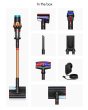 Dyson V16 Piston Animal Submarine Wet & Dry Cleaner
