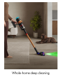 Dyson V16 Piston Animal Submarine Wet & Dry Cleaner