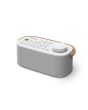 Sony SRSLSR200CE7 Wireless Bluetooth Speaker