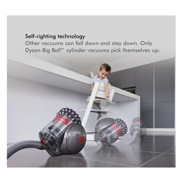 Dyson BIGBALLANIMAL2  Big Ball Animal 2 Cylinder Vacuum Cleaner