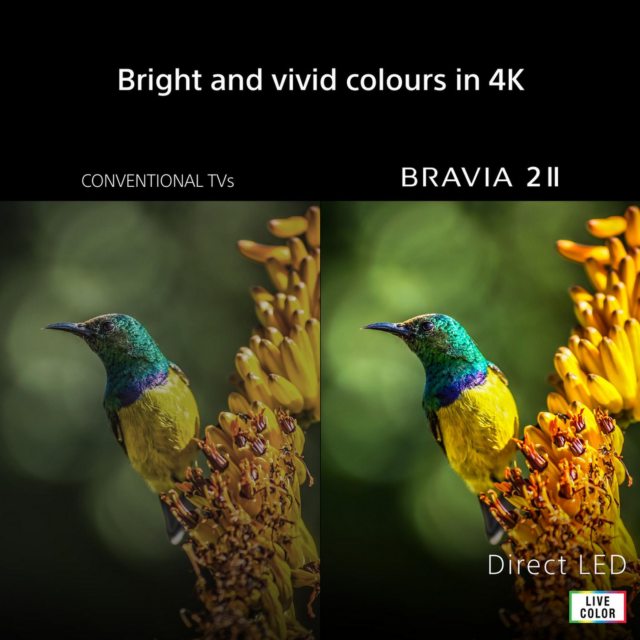 Sony K75S25M2PB.UKA 75-inch 4K BRAVIA Google TV